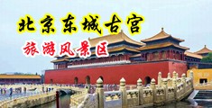 男女视频肏中国北京-东城古宫旅游风景区